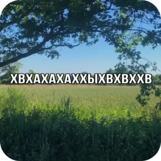 😜 ХВХАХАХАХХЫХВХВХХВ telegram sticker