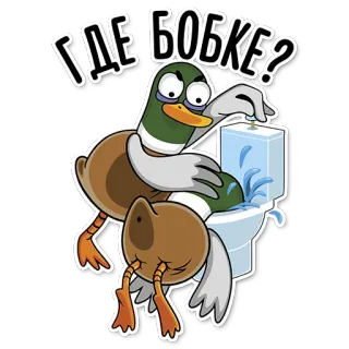 😡 ГДЕ БОБКЕ? kaczka, toaleta, kreskówka, rosyjski, pytanie telegram sticker