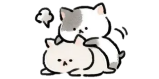 ▫️ gatos, apilar, lindo, animales whatsapp sticker