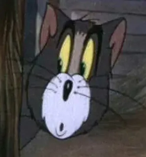 😯 Tom Cat Tom and Jerry cartone animato, gatto, divertente, sorpreso, animazione telegram sticker