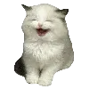 😄