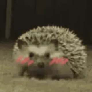 кекеке :: @fStikBot telegram stickers