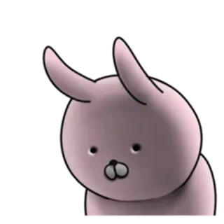 🤐 conejo, animal, lindo, pegatina whatsapp sticker