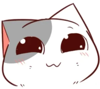 🐈 猫, 可爱, 卡哇伊, 动物, 卡通, 贴纸 whatsapp sticker