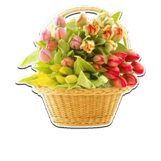 🌸 flowers, tulips, basket, spring, bouquet, nature whatsapp sticker