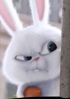 🐰 Snowball The Secret Life of Pets conejo, dibujo animado, blanco, conejito, animal, mascota whatsapp sticker