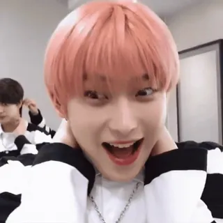 😳 Kpop, Idol, Lucu, Orang, Potret, Rambut pink telegram sticker
