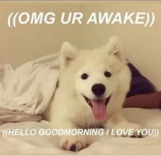💗 ((OMG UR AWAKE))
((HELLO GOODMORNING I LOVE YOU)) anjing, imut, pagi, selamat pagi, hewan peliharaan, binatang telegram sticker
