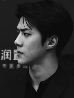 ➖ 润 Homem, Retrato, Preto e branco, Perfil lateral, K-pop, Ator, Asiático, Bonito telegram sticker