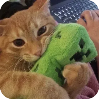 🐱 Minecraft mèo, mèo con, Minecraft, Creeper, đồ chơi, động vật, thú cưng telegram sticker
