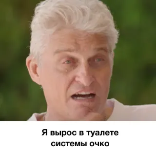 🤌 Я вырос в туалете системы очко telegram sticker