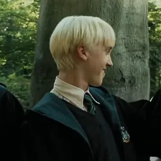 🐍 Draco Malfoy Harry Potter Draco Malfoy, Harry Potter, Slytherin, Mago, Uniforme escolar, Personaje de ficción whatsapp sticker