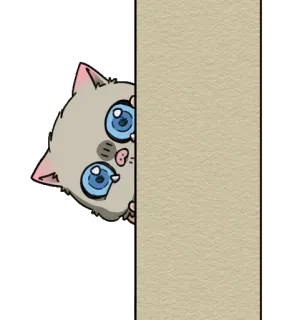 🍤 gatto, sbirciando, animale, carino, kawaii whatsapp sticker