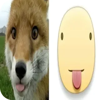 🦊 狐狸, 表情符号, 舌头, 傻, 动物, 脸 telegram sticker