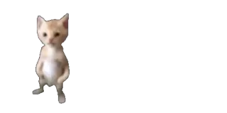 😶 gato, gatinho, em pé, animal, meme telegram sticker