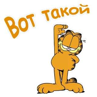 👐 Garfield Вот такой mèo, phim hoạt hình, màu cam, Garfield telegram sticker