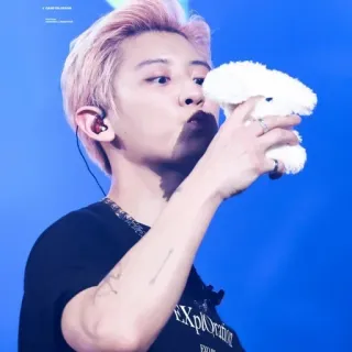 🐻 homme, kpop, cheveux roses, peluche, chanteur telegram sticker