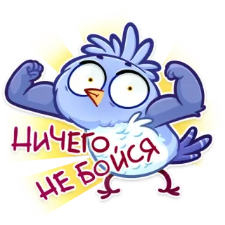 😤 НИЧЕГО НЕ БОЙСЯ bird, cartoon, strong, muscles, motivational, russian, text telegram sticker