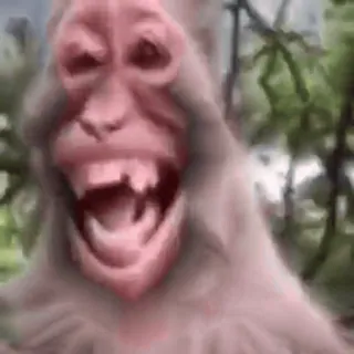 🌟 macaco, primata, animal, engraçado, meme, criatura telegram sticker