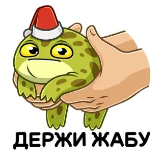 🐸 ДЕРЖИ ЖАБУ лягушка, рождество, шапка санты, держать, животное, милый whatsapp sticker