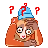 🤔 ??? loris, confused, question, thinking, animal, cute telegram sticker