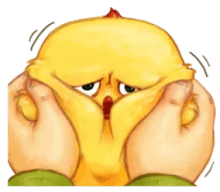 ☺️ Huhn, Vogel, süß, quetschen, Gesicht, gelb, Tier telegram sticker