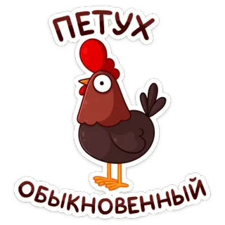 🐔 ПЕТУХ ОБЫКНОВЕННЫЙ rooster, chicken, slur, russian telegram sticker