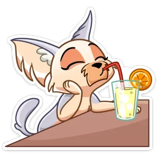 🍸 animal, dibujos animados, bebiendo, relajado, bebida, lindo, feliz telegram sticker