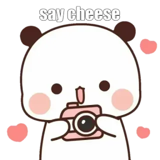 🔰 say cheese mignon, panda, photographie, appareil photo, fromage, animal, dessin animé whatsapp sticker