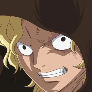 🔥 Sabo One Piece Anime, One Piece, Sabo, Personagem, Capuz, Loiro telegram sticker