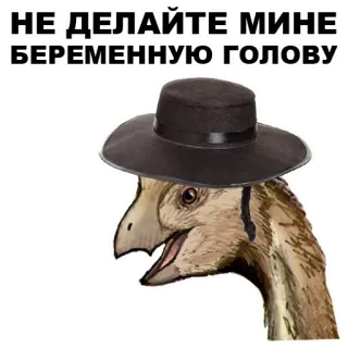 👷 НЕ ДЕЛАЙТЕ МНЕ БЕРЕМЕННУЮ ГОЛОВУ dinosauro, cappello, umorismo, testo, russo whatsapp sticker