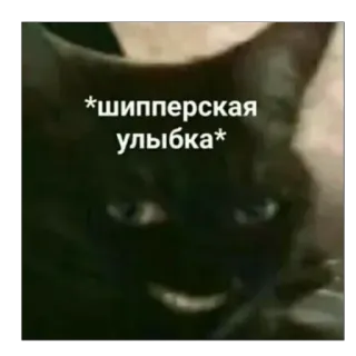 😁 *шипперская улыбка* Katze, Lächeln, Shipper, Lächeln telegram sticker