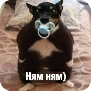 🐶 Ням ням) telegram sticker