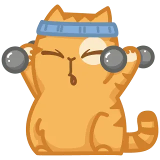 💪 cat, dumbbell, fitness, exercise, workout telegram sticker