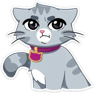 😕 chat, autocollant, en colère, gris, animal de compagnie telegram sticker
