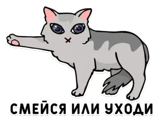 😹 смейся или уходи cat, sticker, animal, funny, russian whatsapp sticker