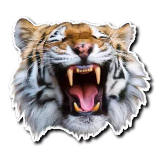 Derptacular Felines telegram stickers