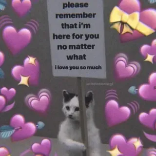 ✨ please
remember
that i'm
here for you
no matter
what
i love you so much kot, miłość, wsparcie, serca, słodki whatsapp sticker