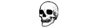 💀 skull, death, bones, skeleton whatsapp sticker