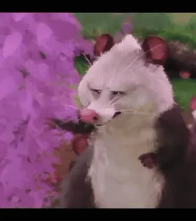 🤔 Hammy Over the Hedge whatsapp sticker