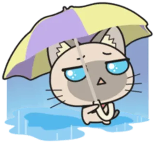 🌂 cat, cartoon, cute, umbrella, rain, sad whatsapp sticker