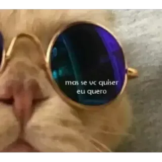 😎 mas se vc quiser eu quero кот, солнцезащитные очки, мем, животное, круто telegram sticker