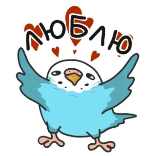 ❤️ ЛЮБЛЮ 鸟, 鹦鹉, 爱, 心, 可爱, 卡通, 动物, 喜爱 telegram sticker
