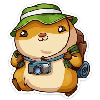 👒 hamster, viagem, fofo, animal, desenho animado, mochila, câmera, caminhada, aventura whatsapp sticker