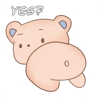 😳 YES? cute, bear, yes, question, animal, cartoon telegram sticker