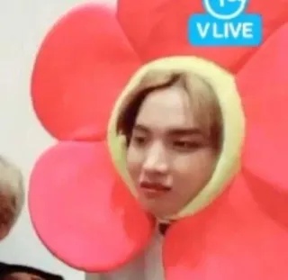 😐 V LIVE flower, person, cute, cheerful, happy telegram sticker
