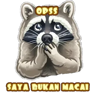 ✳️ ODSS
SAYA BUKAN MACAI rakun, hewan, meme, lucu, stiker telegram sticker