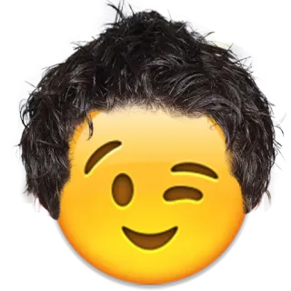😉 emoji, wink, hair, face, funny, sticker telegram sticker