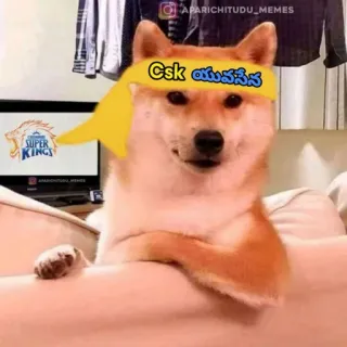 😁 Csk యుయవసేనె cachorro, Shiba Inu, CSK, Super Kings, cricket indiano, meme, Telugu whatsapp sticker