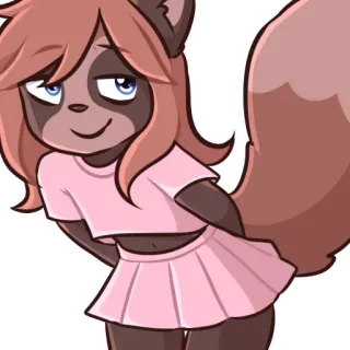 😽 raccoon girl whatsapp sticker
